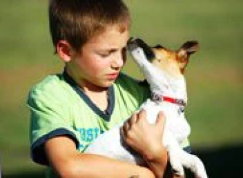 Dogs; the perfect child's reading partner?