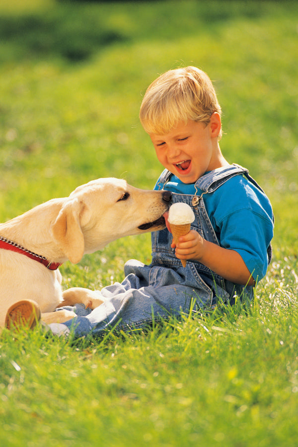 A Look at Hazardous Food for Dogs