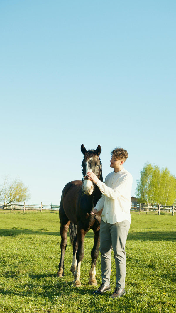 Diagnosing Equine Lameness