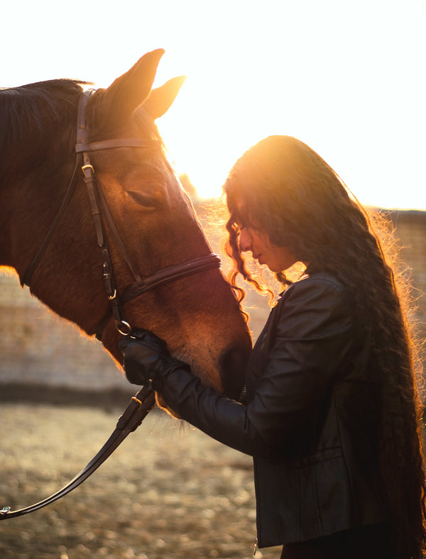 Equine Colic