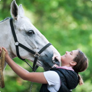 Horse Supplements Direct Image