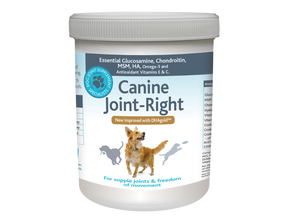 
                      canine-joint-right-thumb-7
                      
