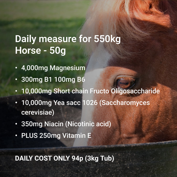 Magnesium Horse Calmer