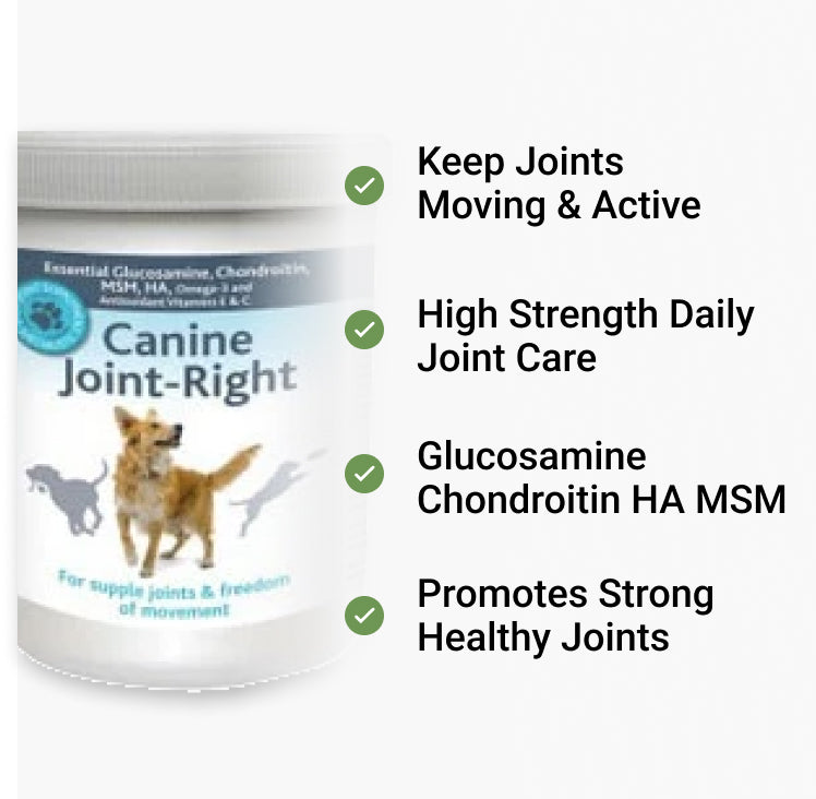 Canine Joint Right - Glucosamine for Dogs