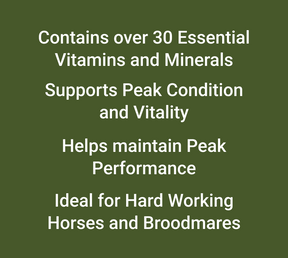 
                      competition-horse-supplement-thumb-5
                      
