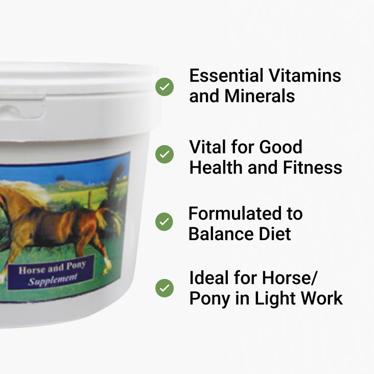 horse vitamins and minerals