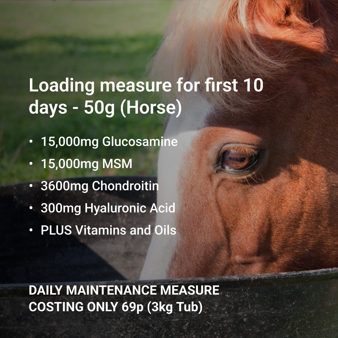 Glucosamine for Horses