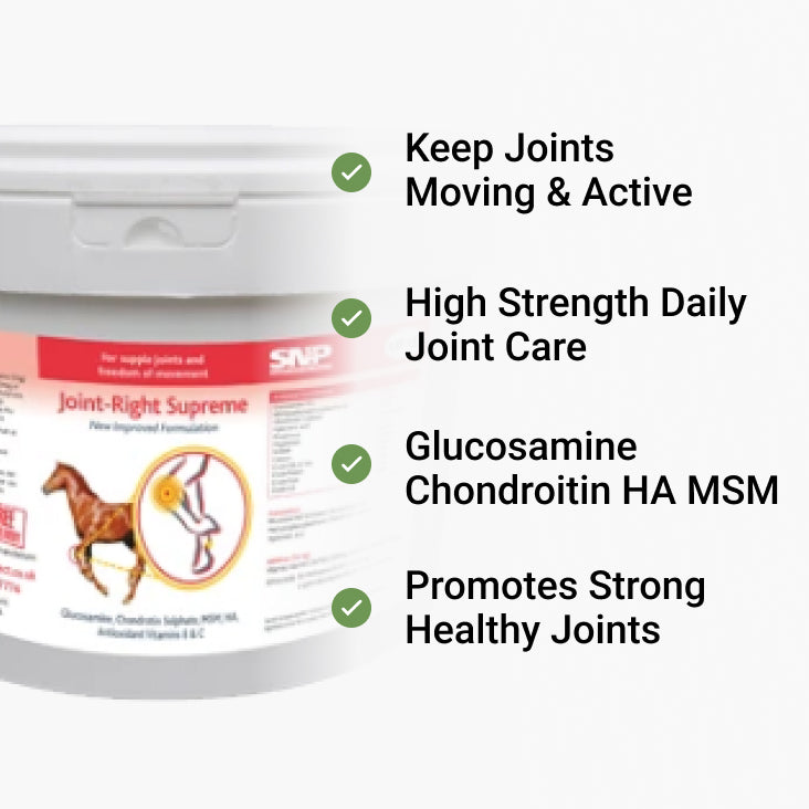 horse joint supplements