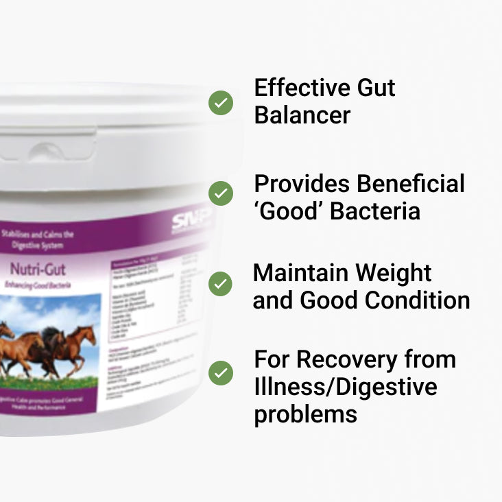 Nutri-Gut – Effective Gut Balancer