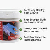 Biotin for Horses