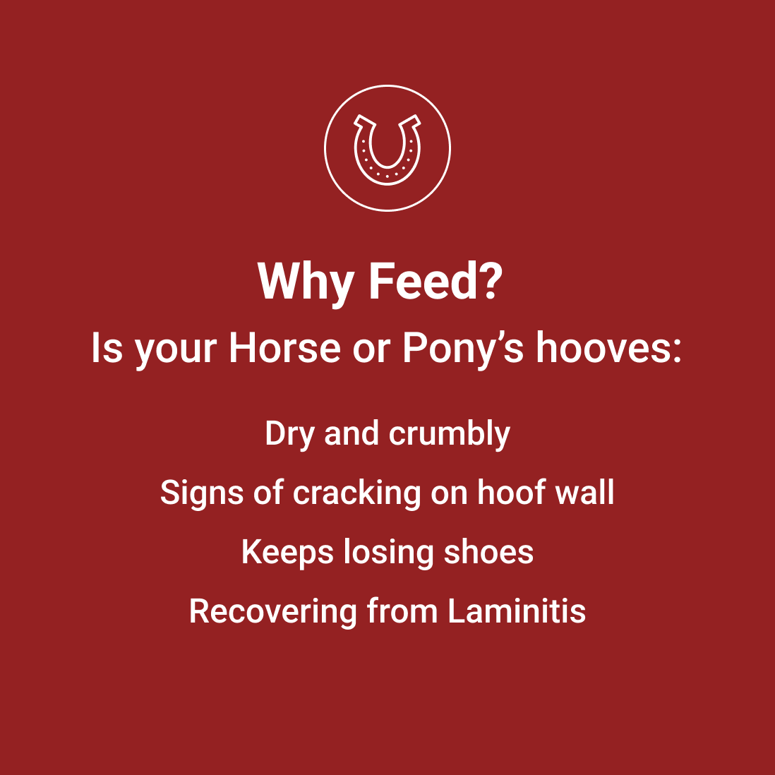 cracked horse hoof