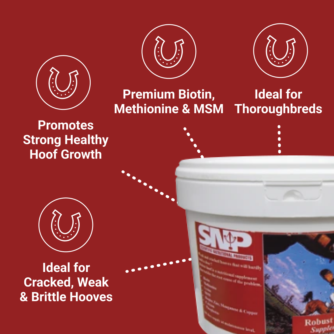 Horse Hoof Supplements