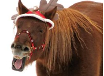 A Very Horsey Christmas
