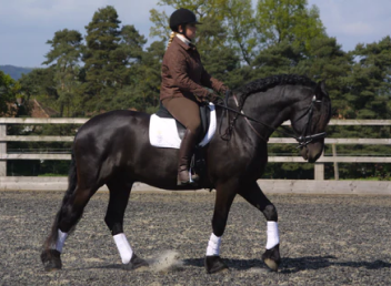 Tackling your Equestrian Goals for 2022