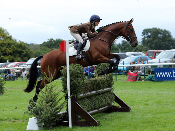 Horse Joint Supplements