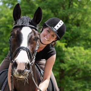 The Equine Gut Microbiome: Why Digestive Balance Matters More Than You Think