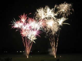 Coping Strategies for Equines and Fireworks