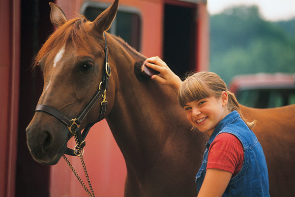 Equine Allergies