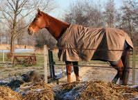 A Muddy Business! Managing Mud Fever