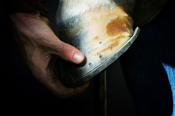 hoof supplements
