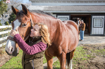 Caring for the Veteran Horse
