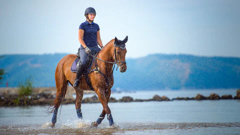 Things to do in Summertime with your Horse