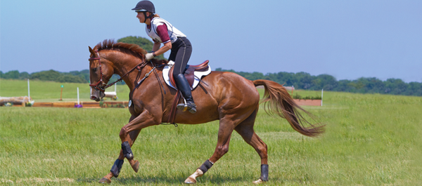 Everyday Mobility with Horse Joint Right Supreme