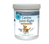Canine Joint Right