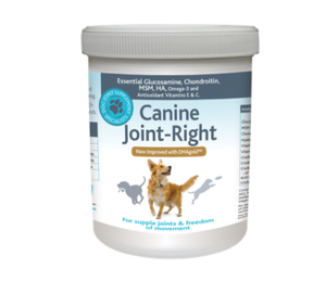 
                      canine-joint-right-thumb-1
                      