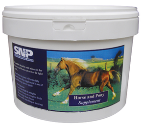 
                      horse-pony-supplement-thumb-6
                      