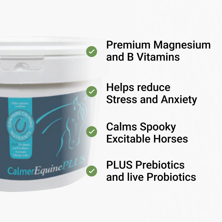 Calmer Equine Plus
