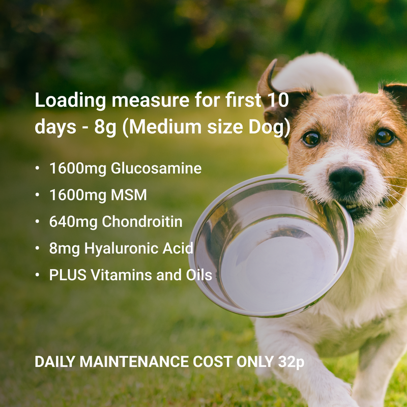 Glucosamine for Dogs | Best Dog Joint Supplement | Canine Joint Right - Glucosamine For Canine Joint Pain