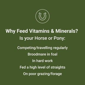 
                      competition-horse-supplement-thumb-2
                      