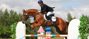 
                      competition-horse-supplement-thumb-4
                      