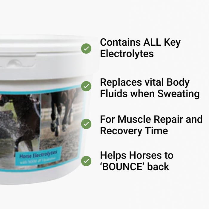 Horse and Dog Joint Supplements Scientific Nutritional Products