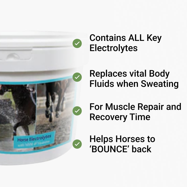 Horse Electrolytes with MSM
