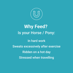 
                      horse-electrolytes-thumb-2
                      