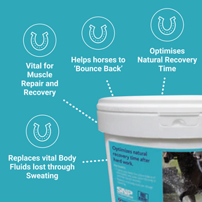 
                      horse-electrolytes-thumb-4
                      