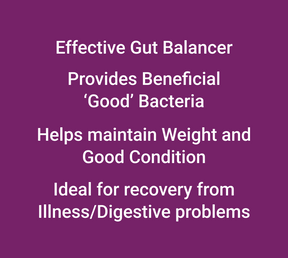 
                      nutri-gut-new-pre-and-pro-biotic-thumb-6
                      