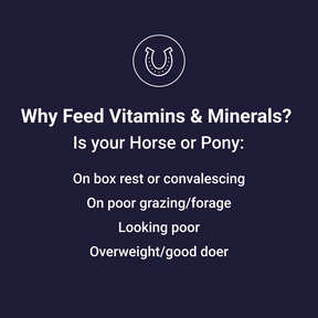 
                      horse-pony-supplement-thumb-2
                      